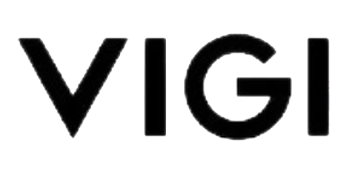VIGI logo